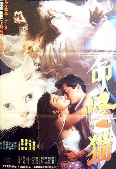 九命怪妻9,九次轮回，探寻宿命之谜