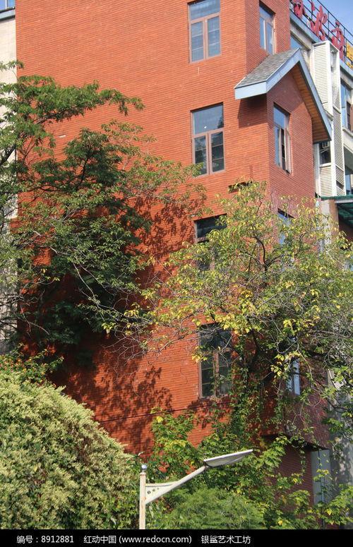 树下有片红房子,静谧乡村的温馨画卷