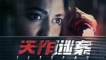 天作谜案（国语版）,探秘悬疑，揭秘人性深渊
