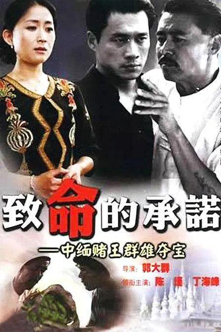 致命的承诺,揭秘背后惊心动魄的真相