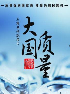 大国质量,铸就民族复兴的坚实基石