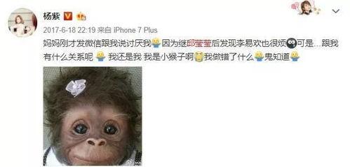 理智吃瓜娱乐,揭秘娱乐圈背后的真实故事