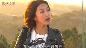 娱乐吃瓜三姐是谁的小说,揭秘娱乐圈背后的秘密人生